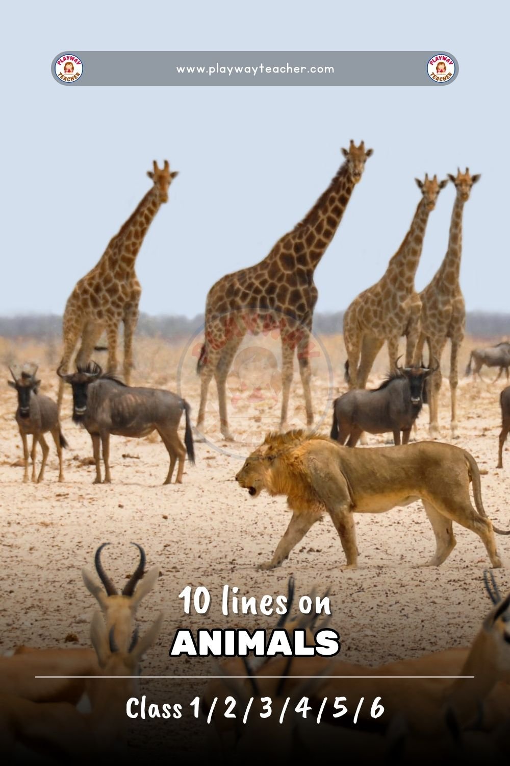 10 lines on animals playwayteacher