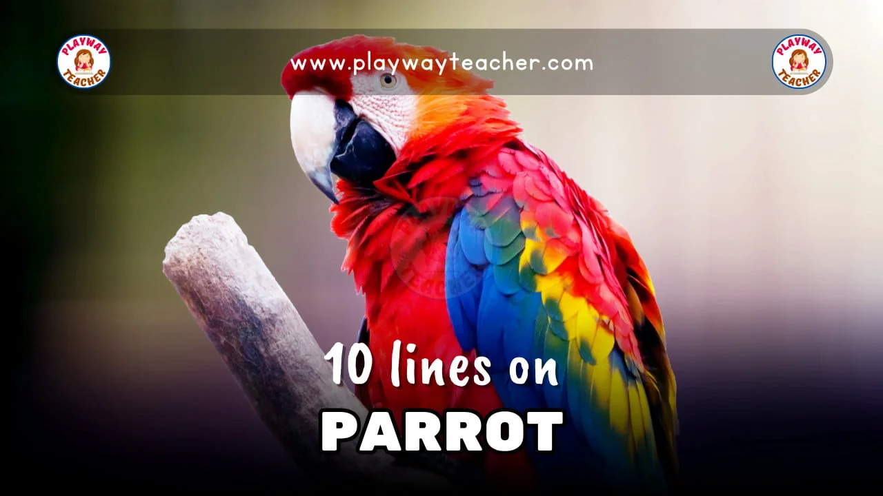 10 lines on parrot