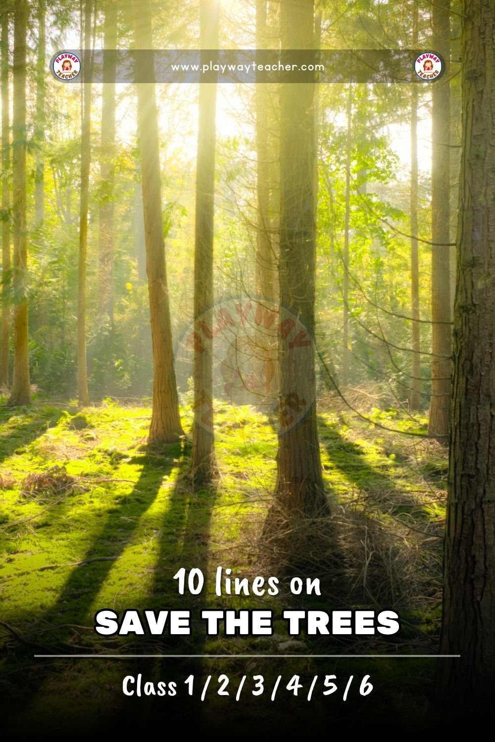 10 lines on save the trees playwayteacher