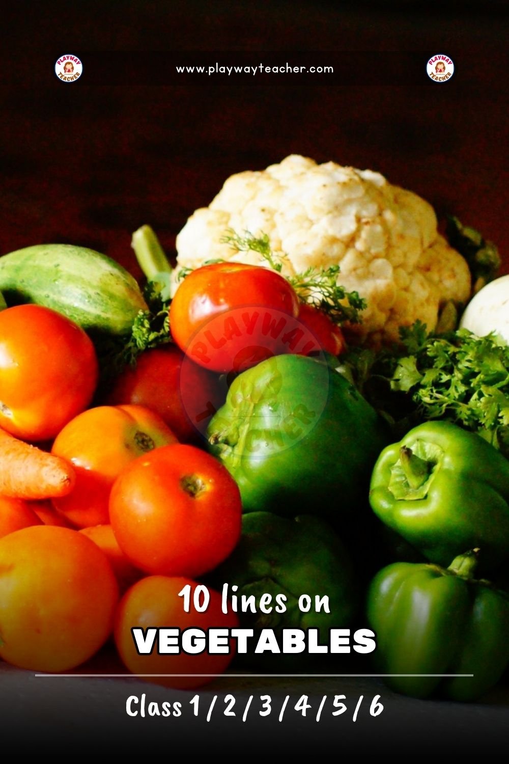 10 lines on vegetables playwayteacher