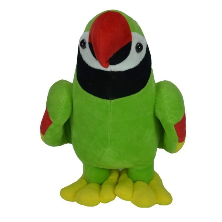 10 Lines On Parrot - Playway Teacher