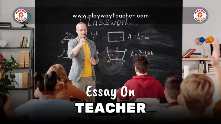 teachers pay teachers essay writing