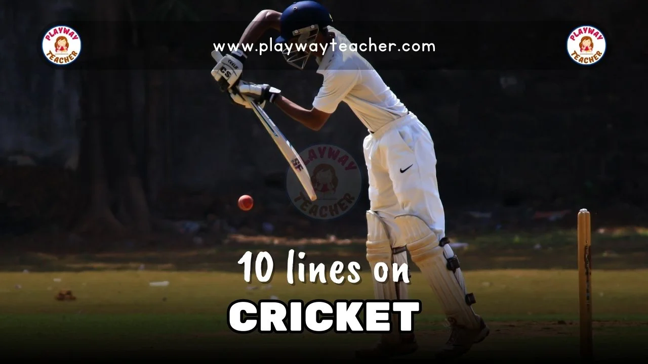 10 lines on cricket