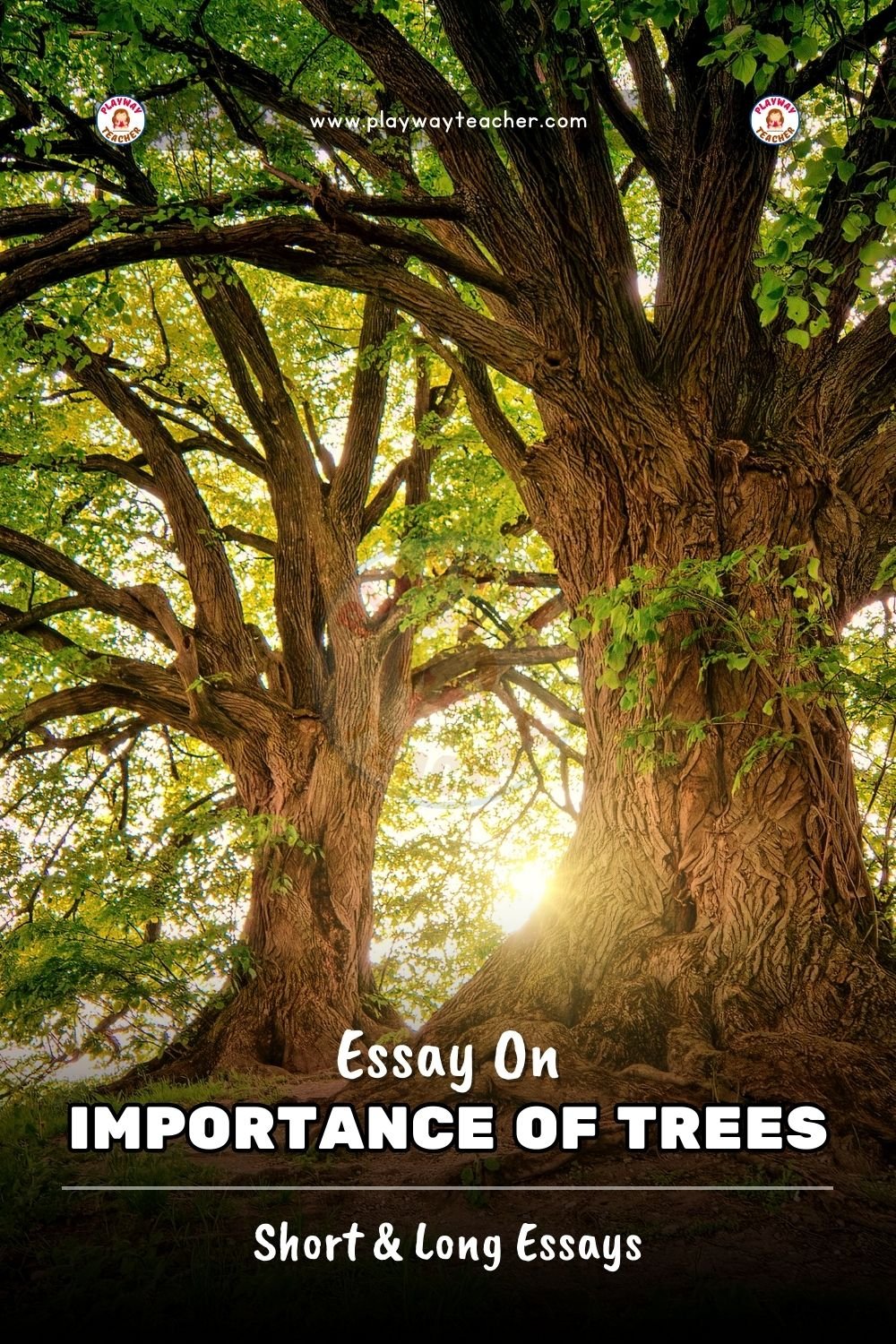 essay on importance of trees playwayteacher